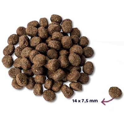 Renske super premium senior kalkoen graanvrij hypoallergeen - Afbeelding 2