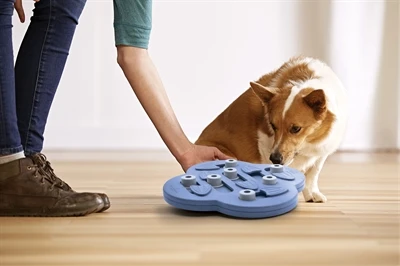 Nina ottosson dog hide n slide composiet - Afbeelding 2