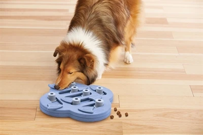 Nina ottosson dog hide n slide composiet - Afbeelding 3