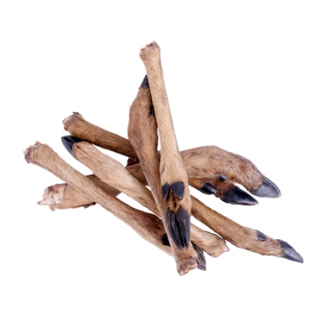 Petsnack reeenpoot met haar