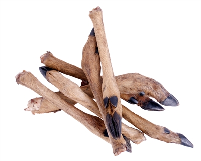 Petsnack reeenpoot met haar