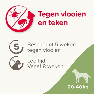 Beaphar fiprotec hond tegen teken en vlooien - Afbeelding 4