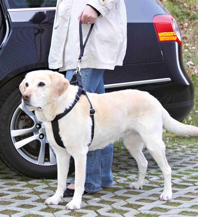 Trixie autogordel korthouder universeel zwart - Afbeelding 3