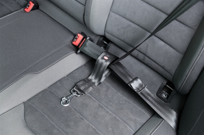 Trixie autogordel korthouder universeel zwart - Afbeelding 7