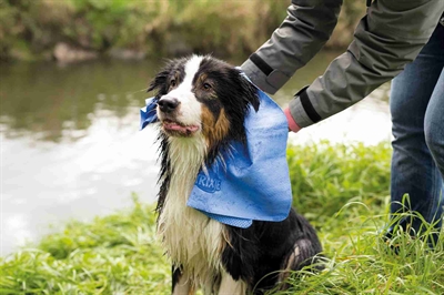 Trixie handdoek assorti - Afbeelding 3