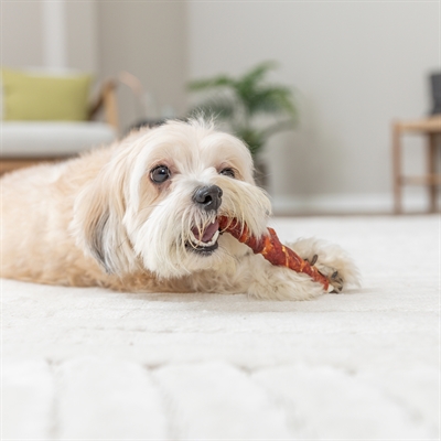 Trixie denta fun filled chicken chewing roll - Afbeelding 8