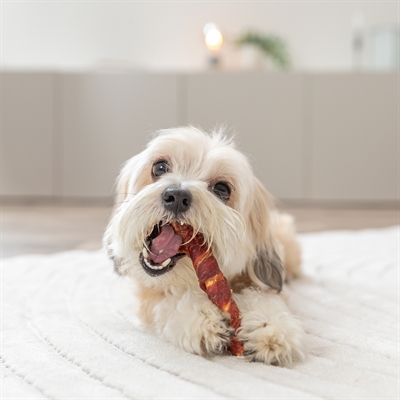 Trixie denta fun filled chicken chewing roll - Afbeelding 9