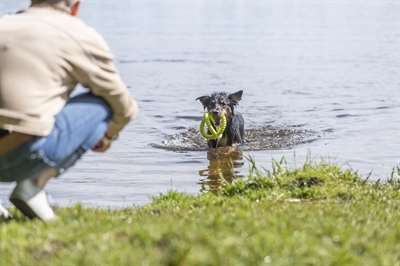 Trixie aqua toy trekspeeltje tpr lime - Afbeelding 6