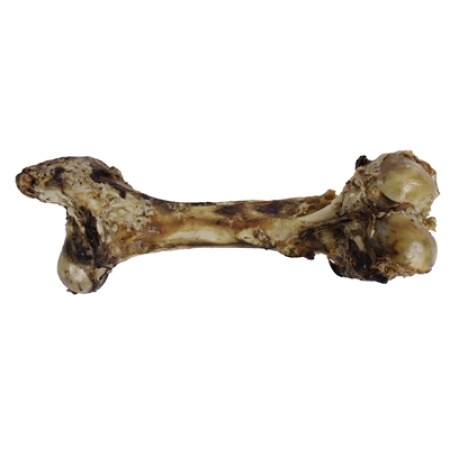 Petsnack dinobot xxl