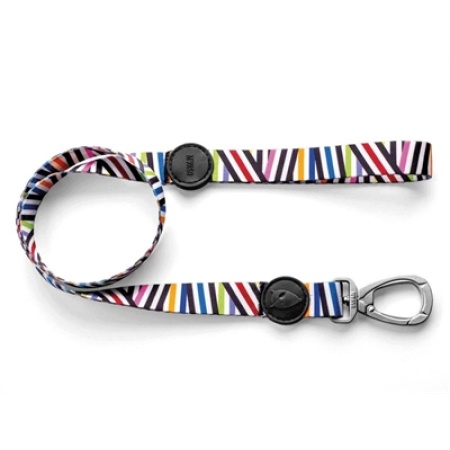 Morso hondenriem gerecycled spaghetti incident