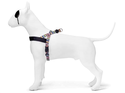 Morso norwegian hondentuig gerecycled spaghetti incident - Afbeelding 2