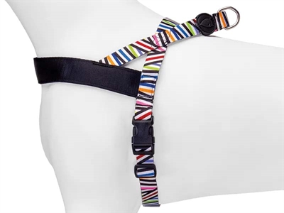 Morso norwegian hondentuig gerecycled spaghetti incident - Afbeelding 3