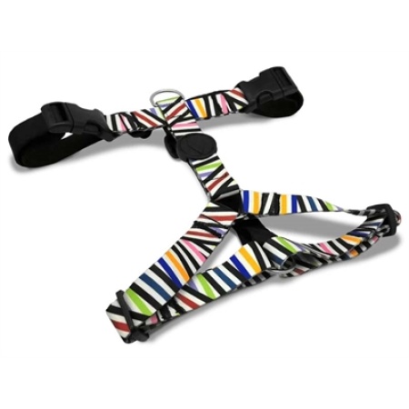 Morso hondentuig h-tuig gerecycled spaghetti incident