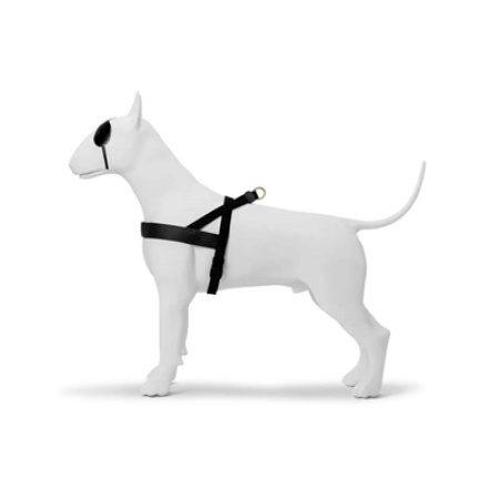 Morso norwegian hondentuig gerecycled gold caviar goud