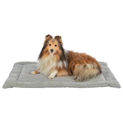 Trixie ligmat jonna ribfluweel grijs - Afbeelding 3