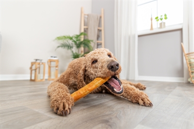 Trixie denta fun roll van collageen met kip - Afbeelding 4