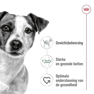 Royal canin mini adult - Afbeelding 4