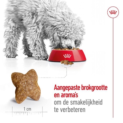 Royal canin mini adult - Afbeelding 5