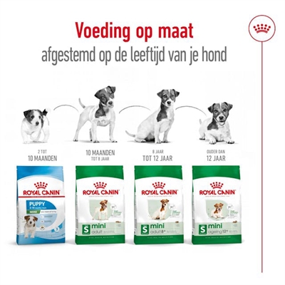 Royal canin mini adult - Afbeelding 6