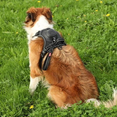 Zolux easyride hondentuig zwart - Afbeelding 6