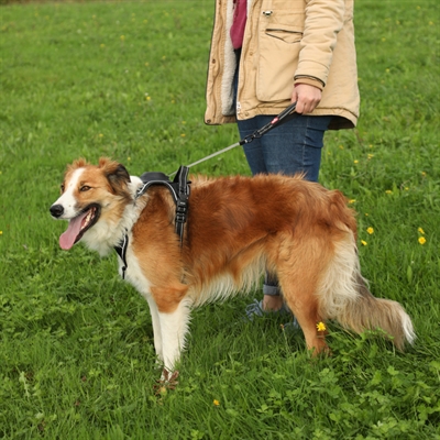 Zolux easyride hondentuig zwart - Afbeelding 7