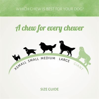 Antos chicken d'light flags - Afbeelding 5