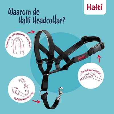 Company of animals halti headcollar zwart - Afbeelding 3