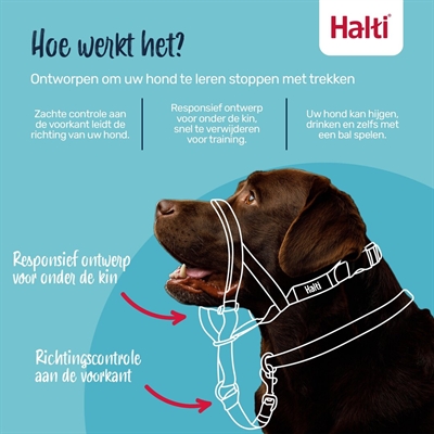 Company of animals halti headcollar zwart - Afbeelding 4