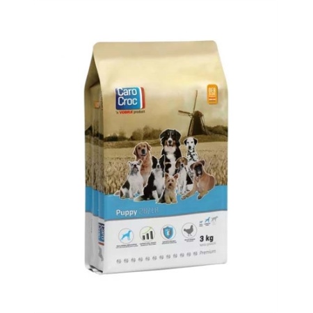 Carocroc puppy