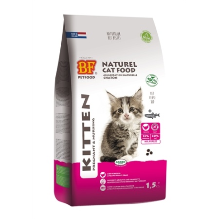 Bf petfood premium quality kat kitten pregnant / nursing