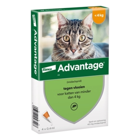 Elanco advantage kat
