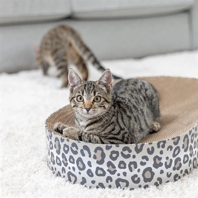 Trixie krabmat / mand leo karton met kattenkruid / catnip creme - Afbeelding 6