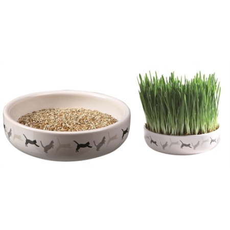 Trixie kattengraszaad 50gr in keramiek