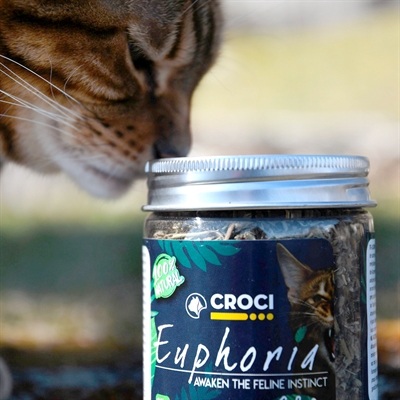 Croci euphoria catnip pot - Afbeelding 3