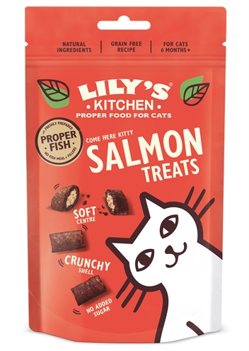 Lily's kitchen salmon treats