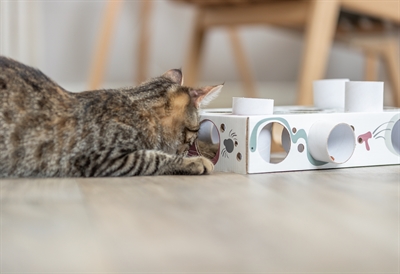 Trixie cat activity paws'n'treats box karton - Afbeelding 7