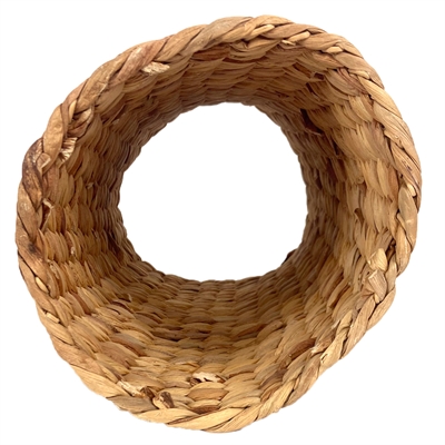 Hyacinth tunnel - Afbeelding 3