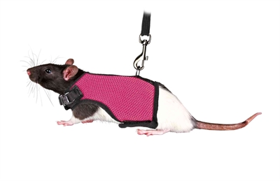 Trixie softtuig met riem voor ratten assorti - Afbeelding 4