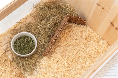 Trixie hoekelement voor muizen en hamsters wilg - Afbeelding 6