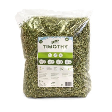 Bunny nature timothy hooi