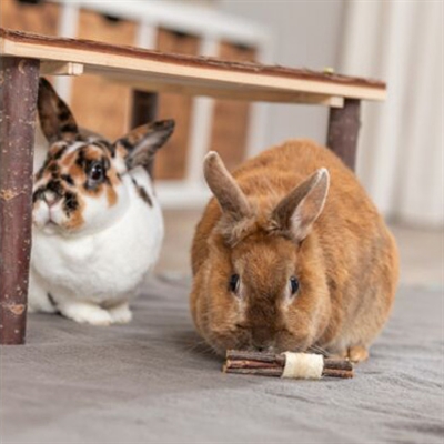 Trixie set sticks met luffa / schorshout / zeegras - Afbeelding 2