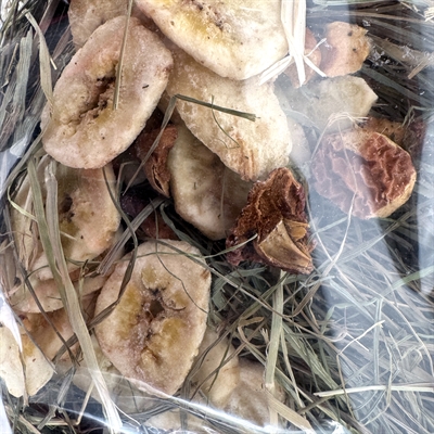 Excellent kruidenhooi banaan en appel - Afbeelding 2