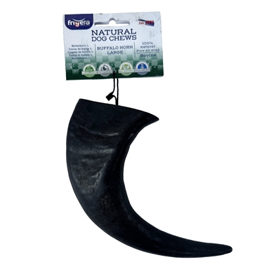 T-rex groot - Afbeelding 2