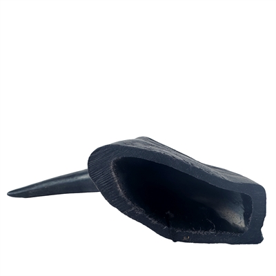 T-rex groot - Afbeelding 3