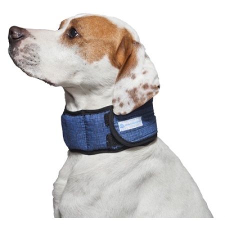 Zzzhalsband aqua coolkeeper pacific blue