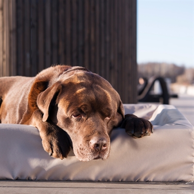 Bia bed outdoor hoes hondenmand taupe - Afbeelding 9