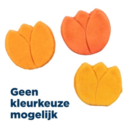 Trixie tulp met kippenborst assorti