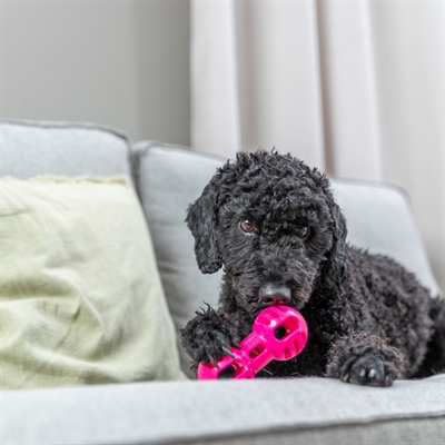Trixie dumbell soft & strong tpr roze - Afbeelding 4