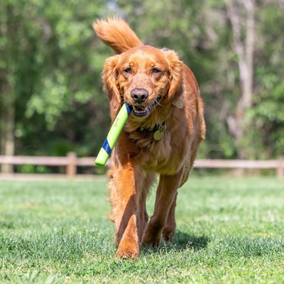 Chuckit sniff fetch stick pindakaasgeur - Afbeelding 5