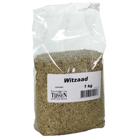 Witzaad